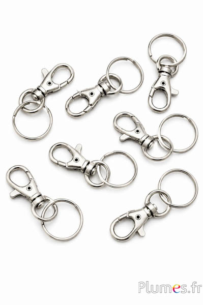 Karabiner mit Ring - L. 60 mm - silbern